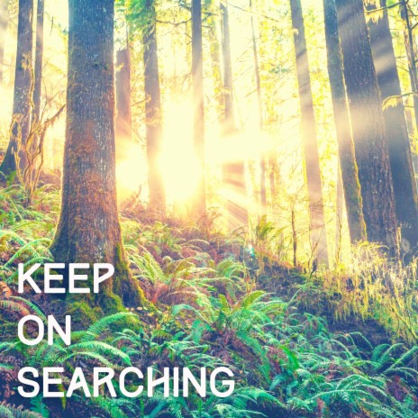 Keep on Searching | Boomplay Music