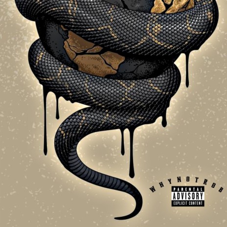 Snakes | Boomplay Music