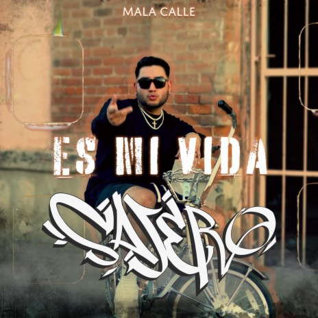 Es mi vida | Boomplay Music