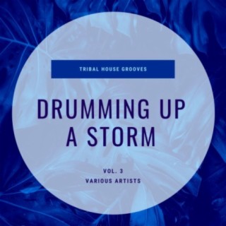 Drumming Up A Storm (Tribal House Grooves), Vol. 3