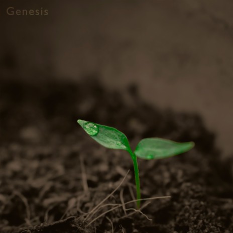 Genesis | Boomplay Music