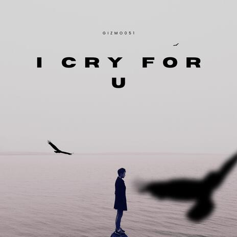 i cry for u | Boomplay Music