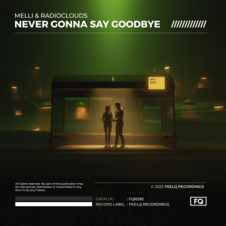 Never Gonna Say Goodbye ft. Radioclouds | Boomplay Music