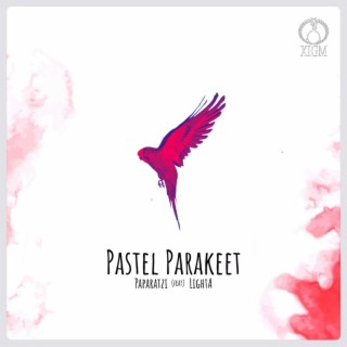 PasteL ParakeeT
