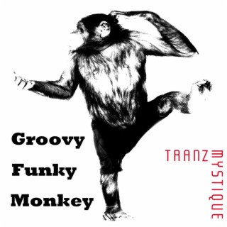 Groovy Funky Monkey