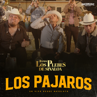 Los Pajaros (En Vivo)