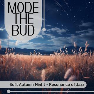 Soft Autumn Night-Resonance of Jazz