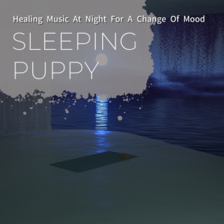 Healing Music at Night for a Change of Mood