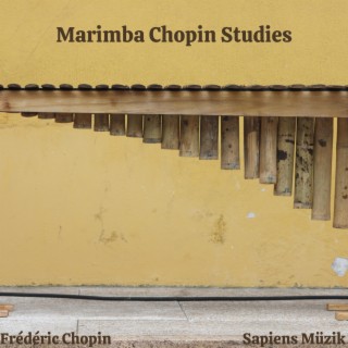 Marimba Chopin Studies