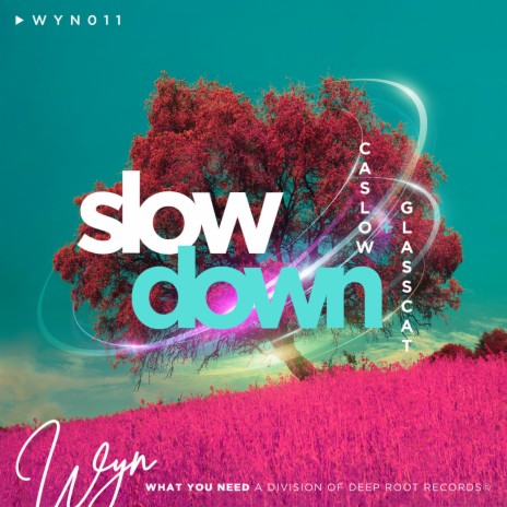 Slow Down ft. glasscat | Boomplay Music