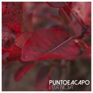 Punto e a Capo lyrics | Boomplay Music