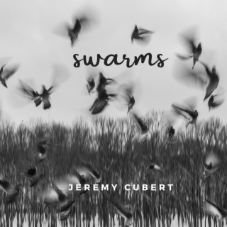 Swarms