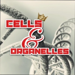 Cells and Organelles