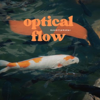 Optical Flow