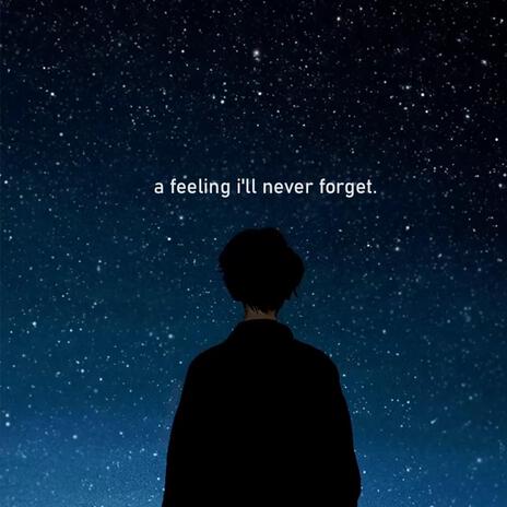 a feeling i'll never forget | Boomplay Music