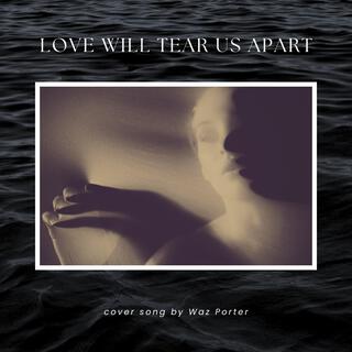 Love Will Tear Us Apart