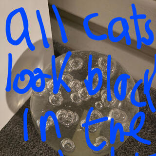 All cats look black in the night