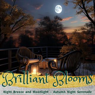 Night Breeze and Moonlight – Autumn Night Serenade