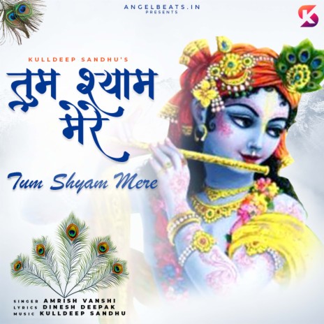 Tume Shyam Mere | Boomplay Music