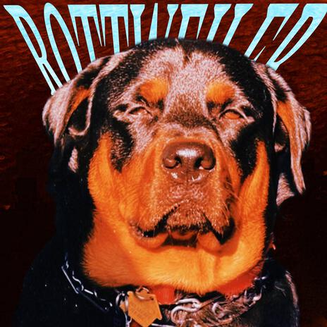 Rottweiler | Boomplay Music