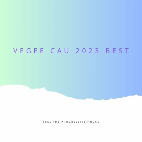 VEGEE CAU 2023 BEST | Boomplay Music