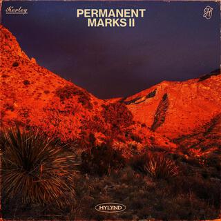 PERMANENT MARKS ii lyrics | Boomplay Music