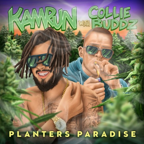 Planters Paradise ft. Collie Buddz | Boomplay Music