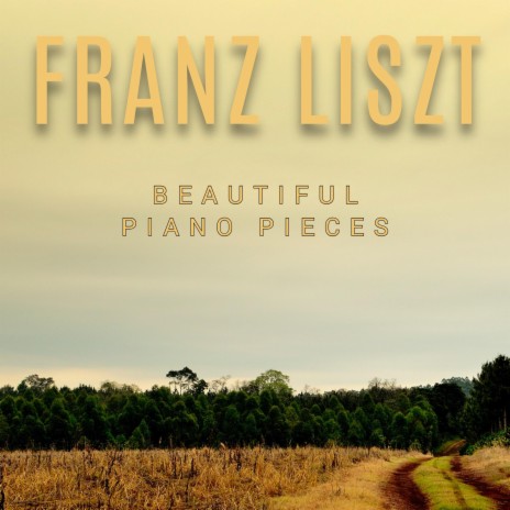 Etude in 12 Exercises No.8 in C Minor, S.136: Franz Liszt | Boomplay Music