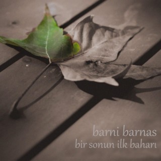 Bir Sonun İlk Baharı