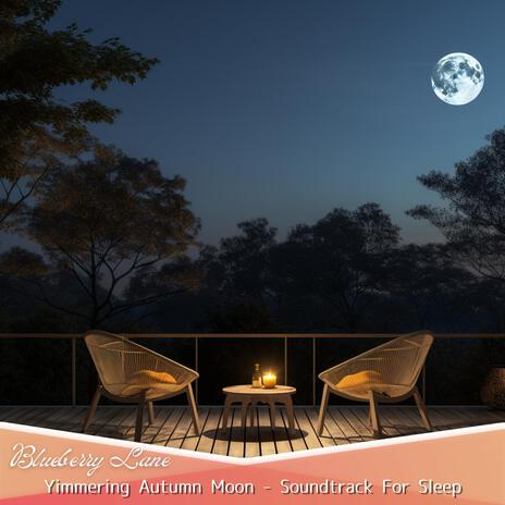 Sleep Jazz Under the Starry Skies | Boomplay Music