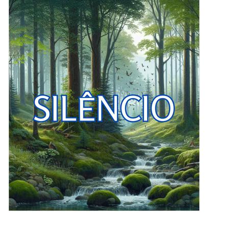 Silêncio | Boomplay Music