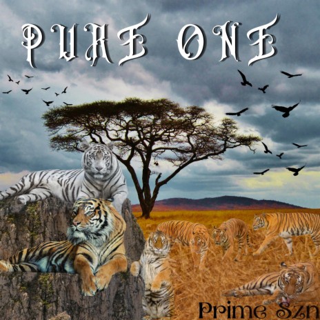 Pure One | Boomplay Music