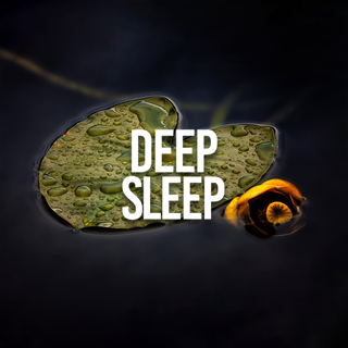 Deep Sleep