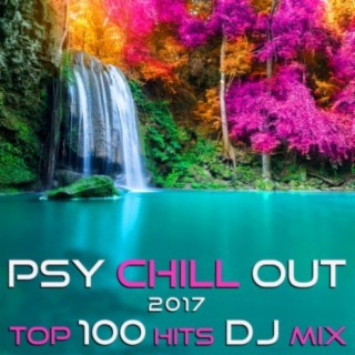 Psy Chill Out 2017 Top 100 Hits DJ Mix
