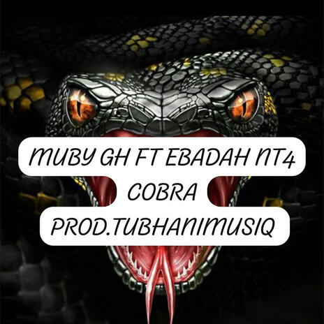 COBRA ft. EBADAH NT4 | Boomplay Music