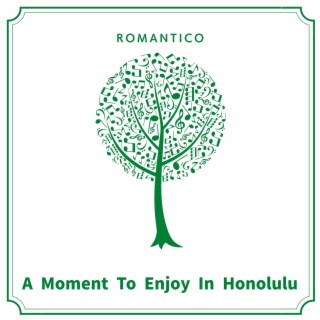 A Moment to Enjoy in Honolulu