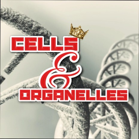 Cells and Organelles | Boomplay Music