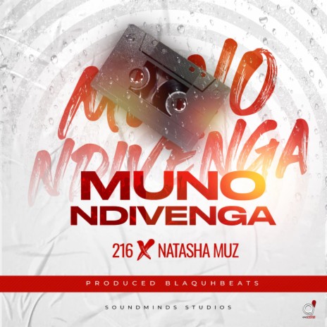 Munondivenga ft. Natasha Muz