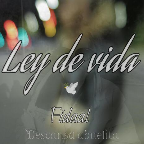 Ley de vida | Boomplay Music