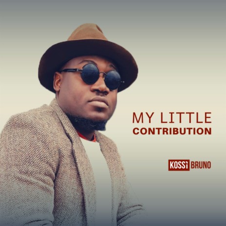 My Little Contribution | Boomplay Music