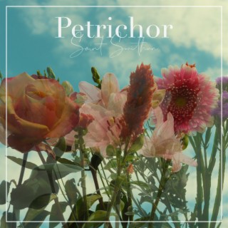 Petrichor