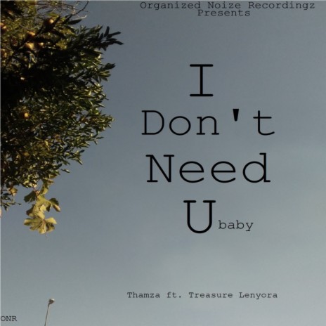 I Don't Need You (Babe) ft. Treasure Lenyora | Boomplay Music