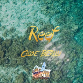 Reef