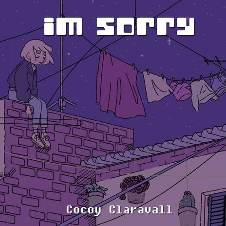 I'm Sorry | Boomplay Music