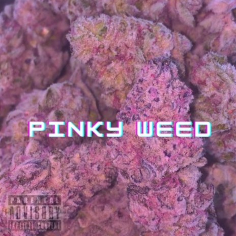 Pinky Weed | Boomplay Music