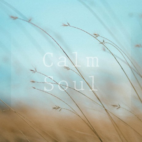 Calm Soul (Lofi) | Boomplay Music