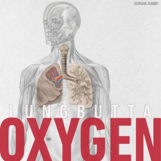 Oxygen lyrics | Boomplay Music