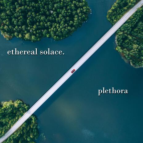 plethora | Boomplay Music