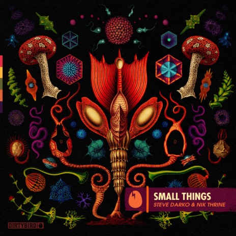 Small Things ft. Nik Thrine | Boomplay Music