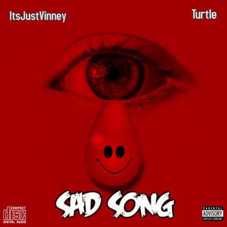 Sad Song ft. Turtle | Boomplay Music
